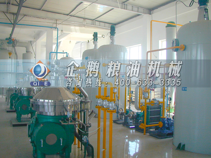 如何投資建設(shè)棕櫚油加工廠？企鵝糧油機械在線為您答疑解惑(圖2)