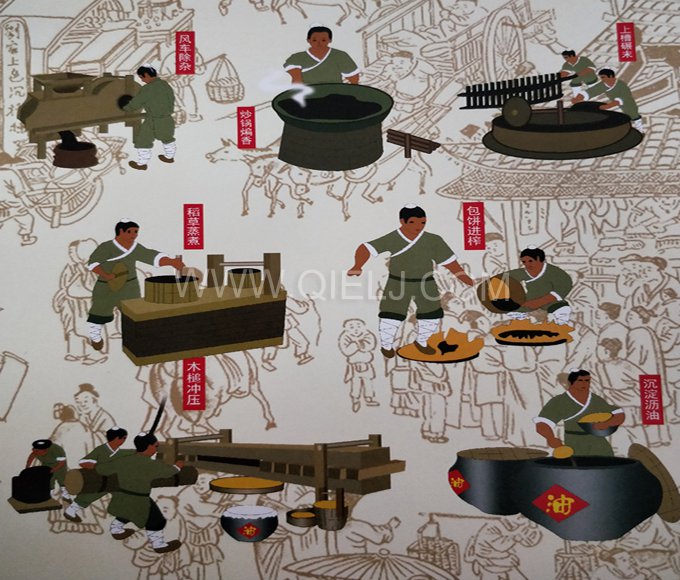 芝麻油提取加工，企鵝糧油機(jī)械生產(chǎn)色香味俱佳的油脂(圖2)